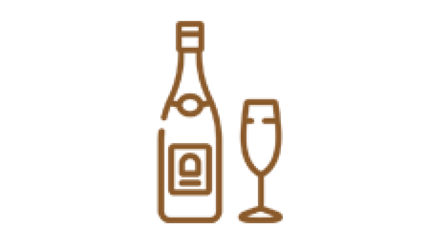 шампанское и игристые вина5762